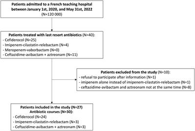 Last resort beta-lactam antibiotics for treatment of New-Delhi Metallo-Beta-Lactamase producing Enterobacterales and other Difficult-to-Treat Resistance in Gram-negative bacteria: A real-life study